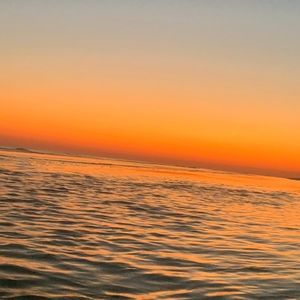 Meet your Posher, Jade